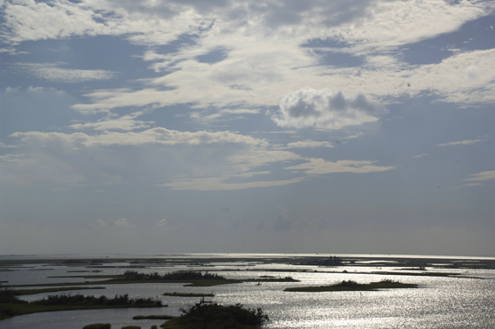 Coastal wetland loss, saltwater intrusion, and sea level rise in Lafourche Parish.